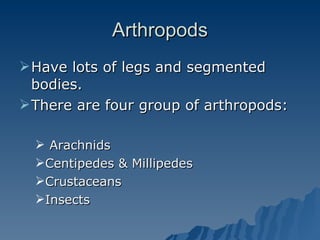 Arthropods Have lots of legs and segmented bodies. There are four group of arthropods: Arachnids Centipedes & Millipedes Crustaceans Insects 