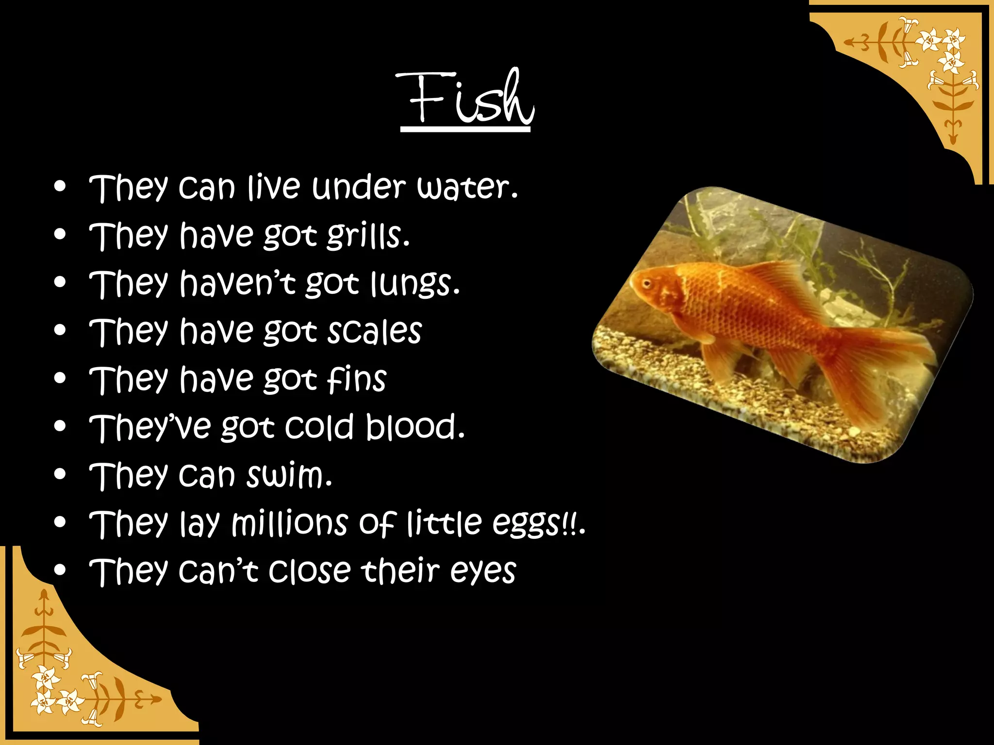 Fish
•   They can live under water.
•   They have got grills.
•   They haven’t got lungs.
•   They have got scales
•   They have got fins
•   They’ve got cold blood.
•   They can swim.
•   They lay millions of little eggs!!.
•   They can’t close their eyes
 