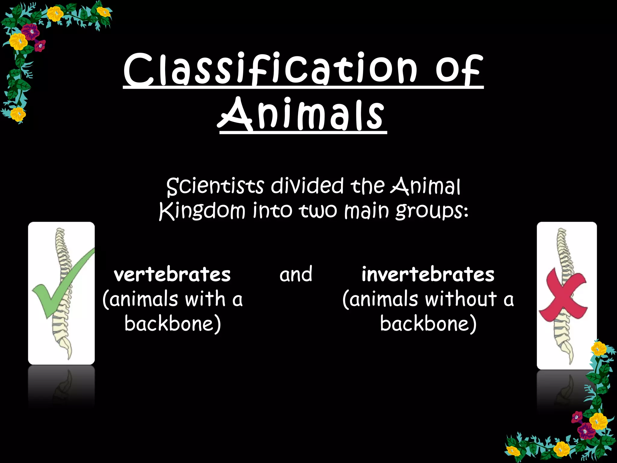 Classification of
      Animals
     Scientists divided the Animal
     Kingdom into two main groups:


 vertebrates      and     invertebrates
(animals with a         (animals without a
  backbone)                 backbone)
 