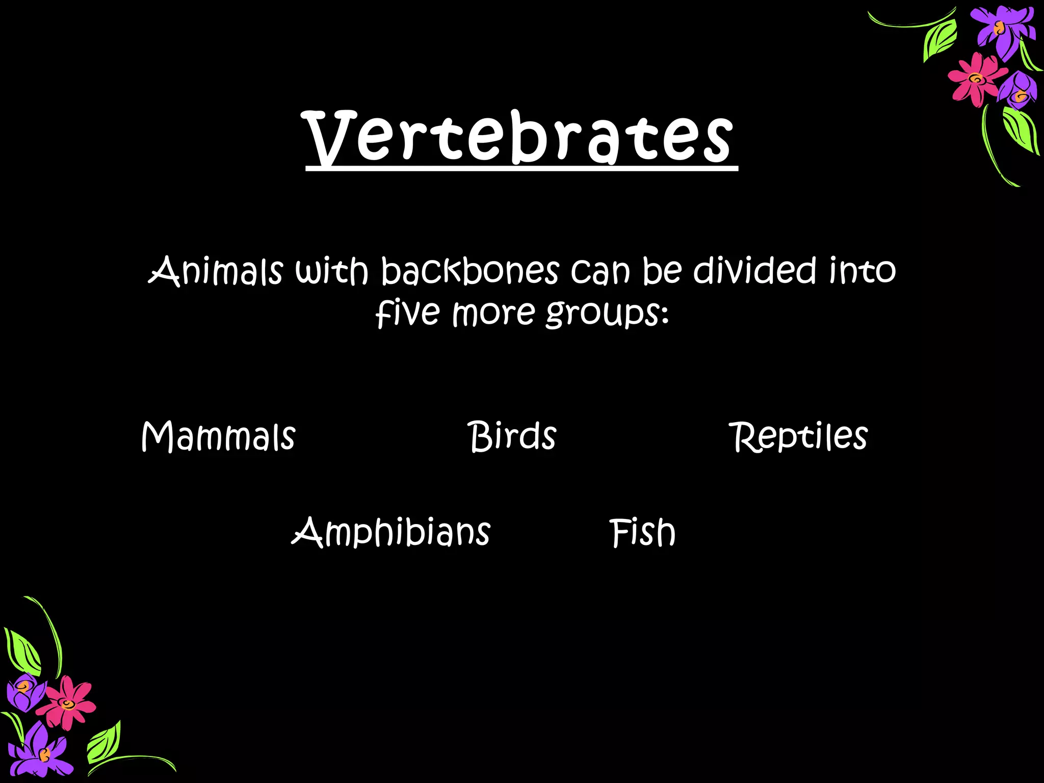 Vertebrates
Animals with backbones can be divided into
             five more groups:


Mammals          Birds          Reptiles

        Amphibians       Fish
 