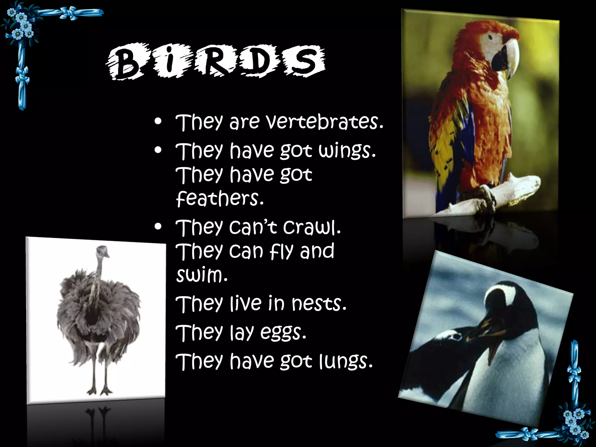 Birds
 • They are vertebrates.
 • They have got wings.
   They have got
   feathers.
 • They can’t crawl.
   They can fly and
   swim.
 • They live in nests.
 • They lay eggs.
 • They have got lungs.
 