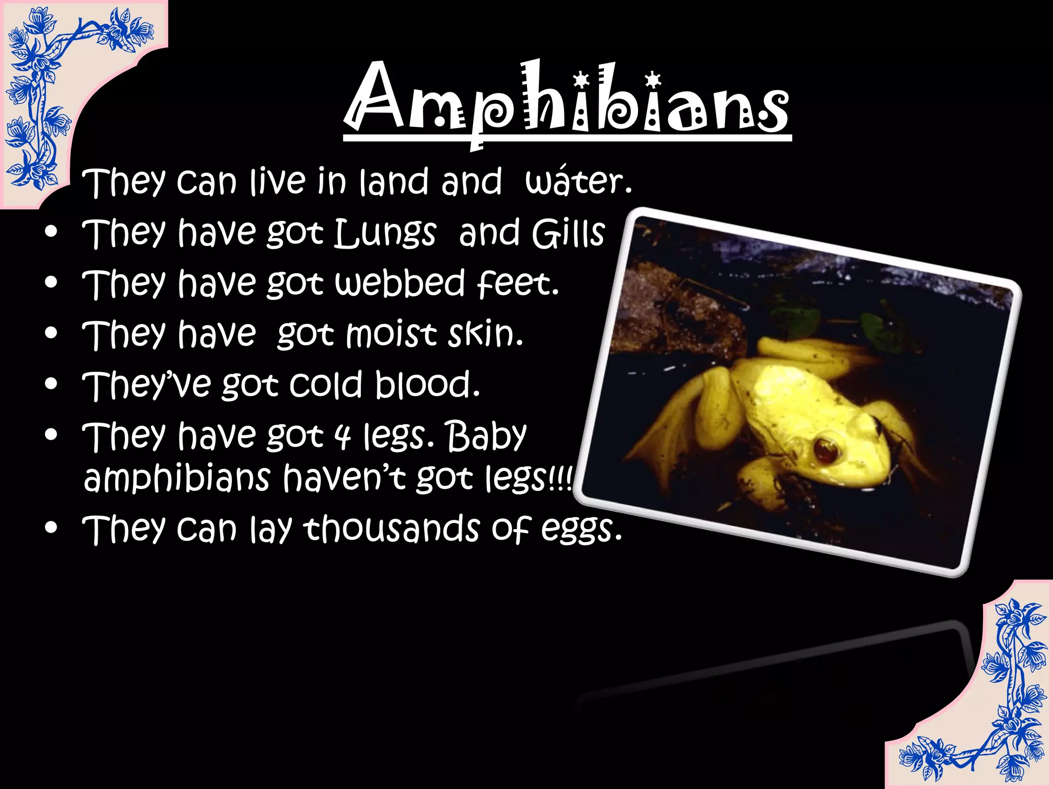 Amphibians
• They can live in land and wáter.
• They have got Lungs and Gills
• They have got webbed feet.
• They have got moist skin.
• They’ve got cold blood.
• They have got 4 legs. Baby
  amphibians haven’t got legs!!!
• They can lay thousands of eggs.
 