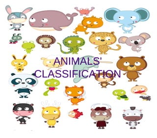 ANIMALS'
CLASSIFICATION
 
