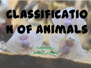 Classificatio
n of Animals
Prepared by:
Christine Romero
 
