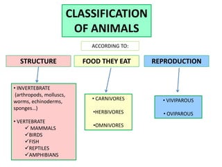 CLASSIFICATION
OF ANIMALS
STRUCTURE FOOD THEY EAT REPRODUCTION
• CARNIVORES
•HERBIVORES
•OMNIVORES
• VIVIPAROUS
• OVIPAROUS
• INVERTEBRATE
(arthropods, molluscs,
worms, echinoderms,
sponges…)
• VERTEBRATE
 MAMMALS
BIRDS
FISH
REPTILES
AMPHIBIANS
ACCORDING TO:
 