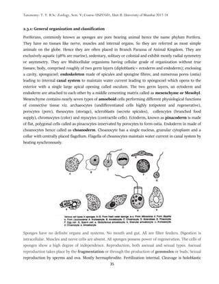 Collencytes Classification of animals: Protozoa, Porifera and Coelenterata | PDF
