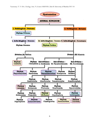 Classification of animals: Protozoa, Porifera and Coelenterata