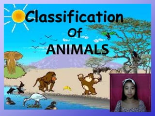 Classification
Of
ANIMALS
 