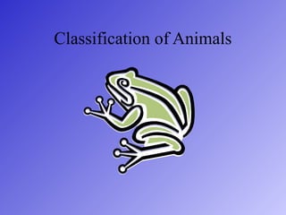 Classification of Animals
 