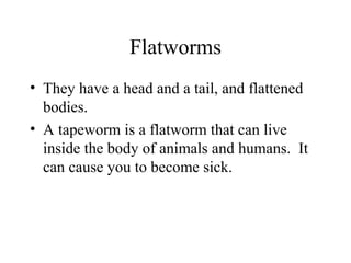 Flatworms
• They have a head and a tail, and flattened
bodies.
• A tapeworm is a flatworm that can live
inside the body of...