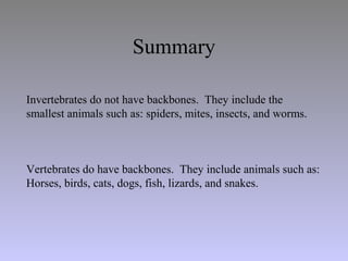 Summary
Invertebrates do not have backbones. They include the
smallest animals such as: spiders, mites, insects, and worms...