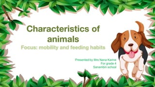 Characteristics of
animals
Focus: mobility and feeding habits
Presented by Mrs Nana Karine
For grade 4
Sanambin school
 