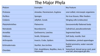 Comprehensive Classification and Evolution of Kingdom Animalia | PPTX