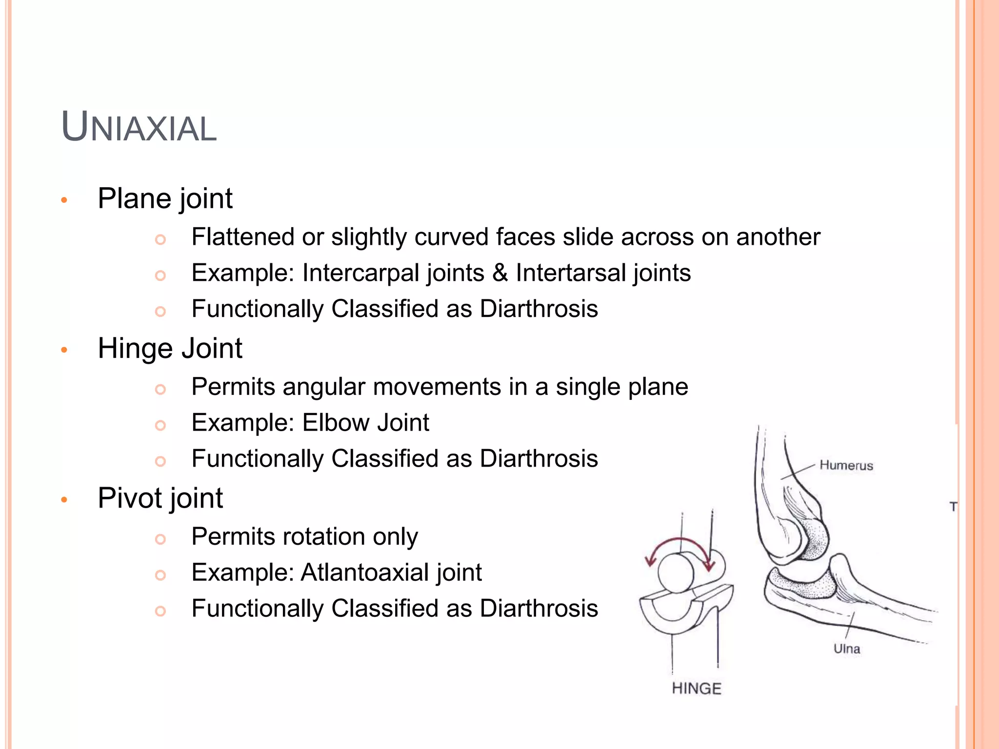 SymphysisFibrocartilage pad between bones