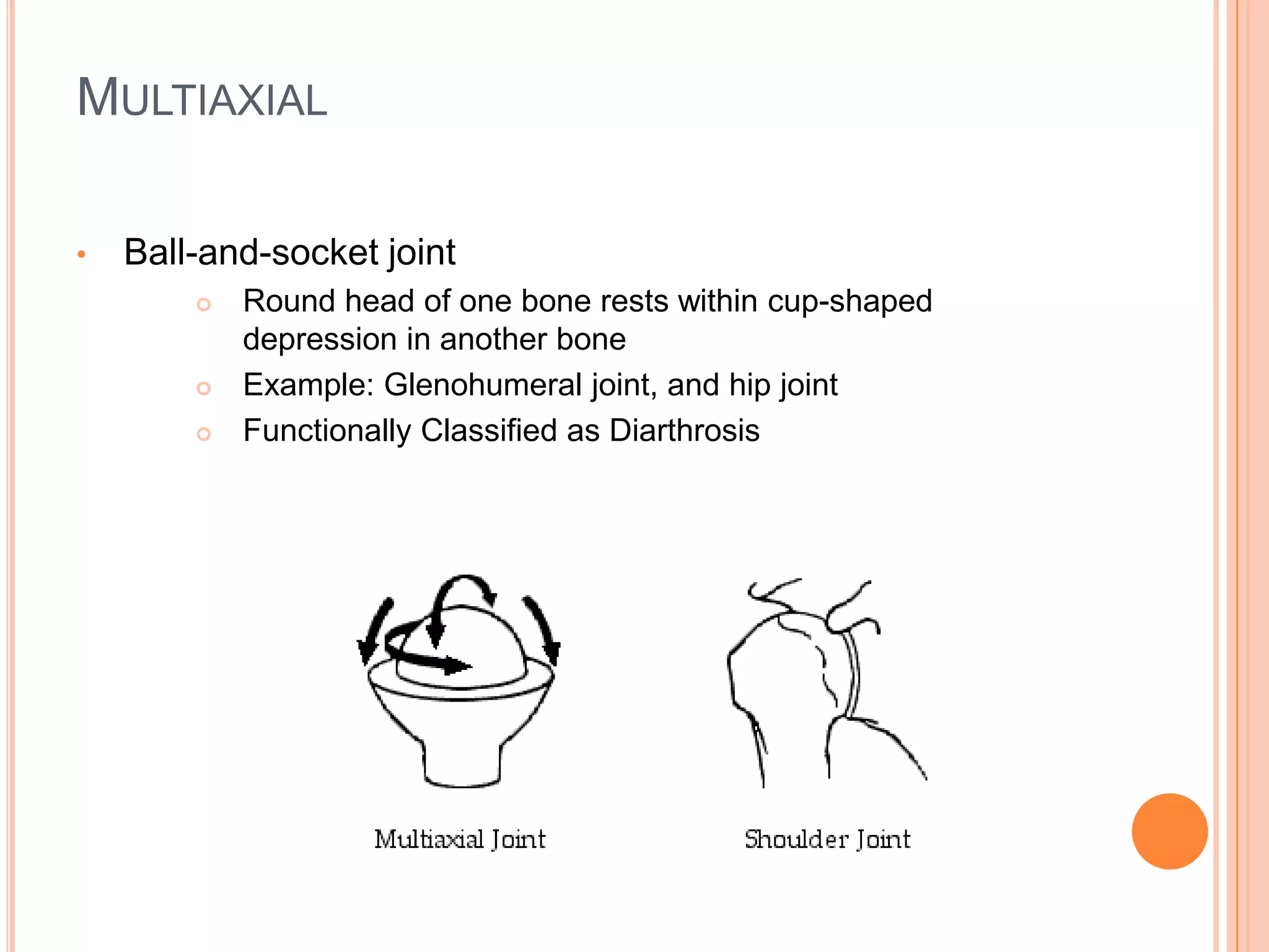 Functional classified  as Amphiarthrosis