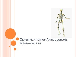 Classification of Articulations By Sadie Gordon & Bob 