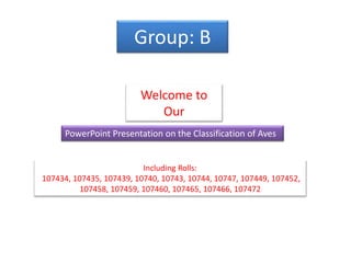 Group: B
PowerPoint Presentation on the Classification of Aves
Welcome to
Our
Including Rolls:
107434, 107435, 107439, 10740, 10743, 10744, 10747, 107449, 107452,
107458, 107459, 107460, 107465, 107466, 107472
 