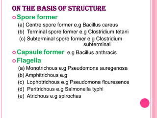 ON THE BASIS OF STRUCTURE
 Spore

former

(a) Centre spore former e.g Bacillus careus
(b) Terminal spore former e.g Clostridium tetani
(c) Subterminal spore former e.g Clostridium
subterminal
 Capsule

former

e.g Bacillus anthracis

 Flagella

(a) Monotrichous e.g Pseudomona auregenosa
(b) Amphitrichous e.g
(c) Lophotrichous e.g Pseudomona flouresence
(d) Peritrichous e.g Salmonella typhi
(e) Atrichous e.g spirochas

 