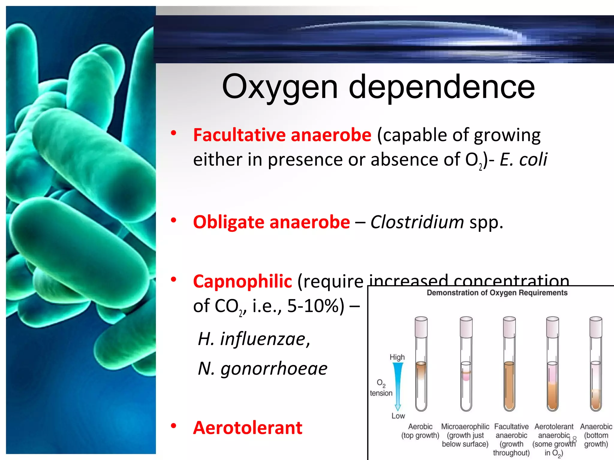 Oxygen dependence
• Facultative anaerobe (capable of growing
either in presence or absence of O2)- E. coli
• Obligate anaerobe – Clostridium spp.
• Capnophilic (require increased concentration
of CO2, i.e., 5-10%) –
H. influenzae,
N. gonorrhoeae
• Aerotolerant 18
 