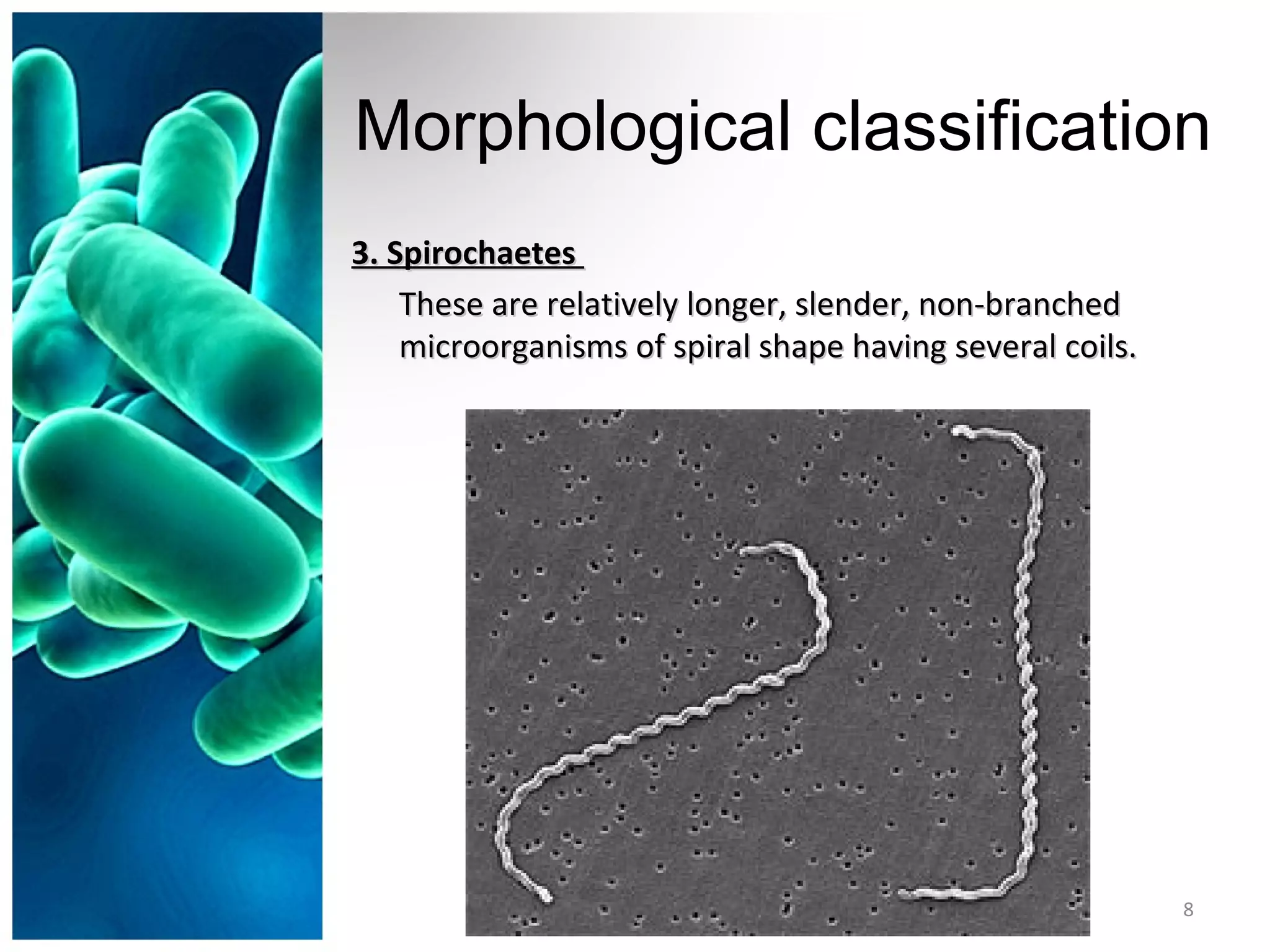 Morphological classification
3. Spirochaetes3. Spirochaetes
These are relatively longer, slender, non-branchedThese are relatively longer, slender, non-branched
microorganisms of spiral shape having several coils.microorganisms of spiral shape having several coils.
8
 