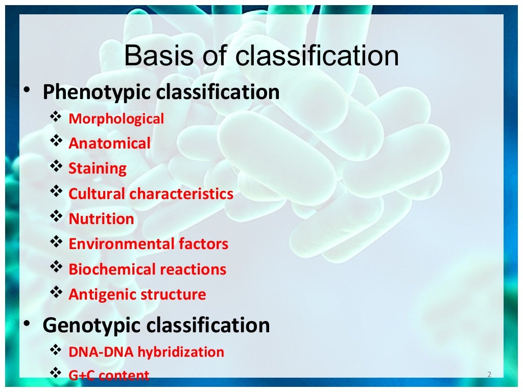 classification-of-bacteria