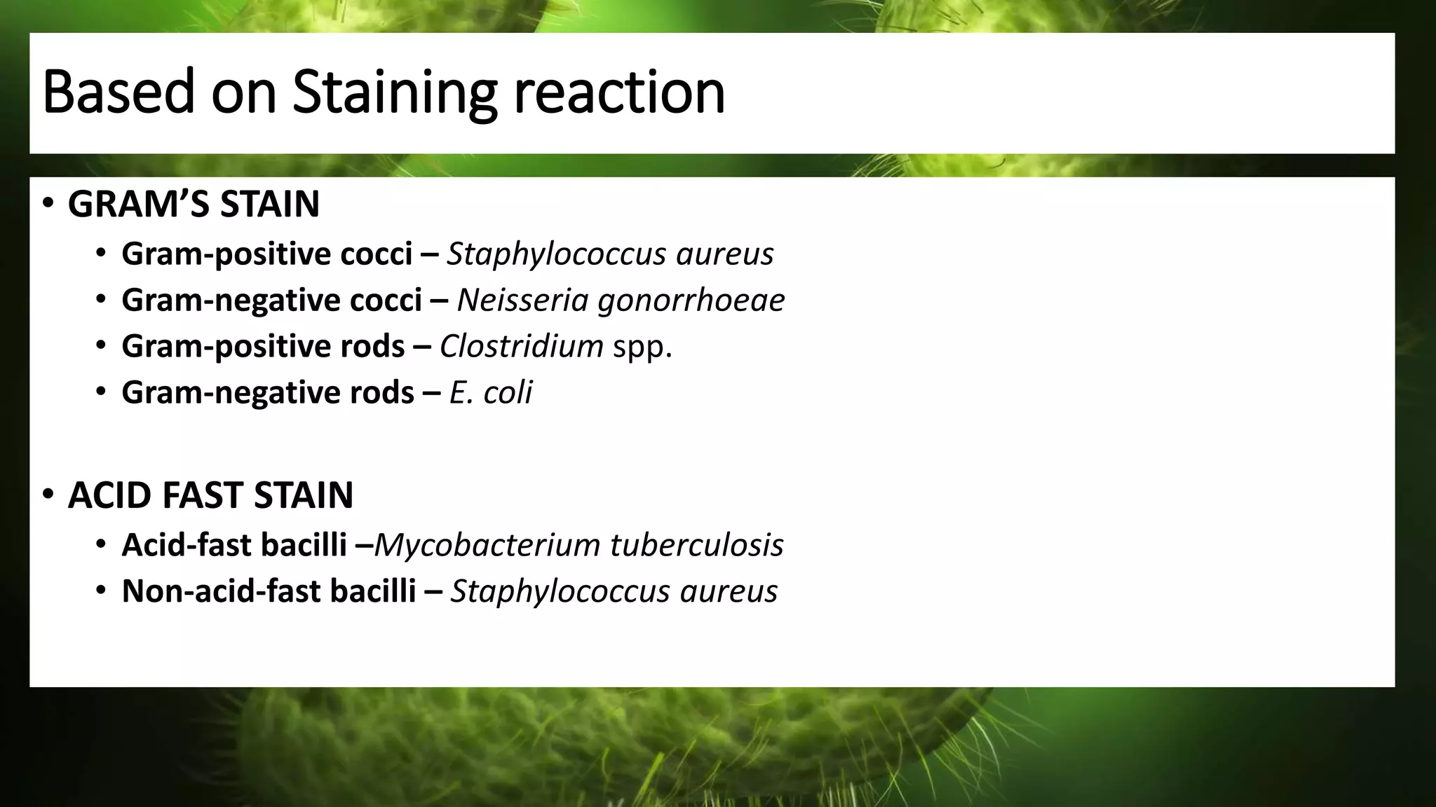 Based on Staining reaction
• GRAM’S STAIN
• Gram-positive cocci – Staphylococcus aureus
• Gram-negative cocci – Neisseria gonorrhoeae
• Gram-positive rods – Clostridium spp.
• Gram-negative rods – E. coli
• ACID FAST STAIN
• Acid-fast bacilli –Mycobacterium tuberculosis
• Non-acid-fast bacilli – Staphylococcus aureus
 