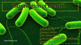 Classification of Bacteria
Presented By:-
Zeeshan Mazhar
Md. Mahtab Rashid
M.Sc Ag (Mycology & Plant Pathology)
I.Ag.Sc , B.H.U.
 