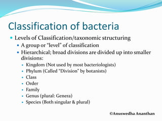 ©Anuswedha Ananthan
Classification of bacteria
 Levels of Classification/taxonomic structuring
 A group or “level” of classification
 Hierarchical; broad divisions are divided up into smaller
divisions:
 Kingdom (Not used by most bacteriologists)
 Phylum (Called “Division” by botanists)
 Class
 Order
 Family
 Genus (plural: Genera)
 Species (Both singular & plural)
 