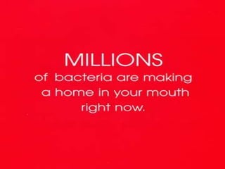 ©Anuswedha Ananthan
 