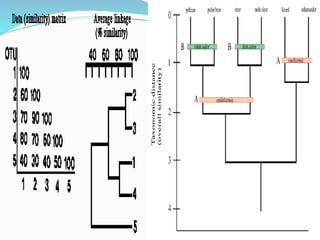 ©Anuswedha Ananthan
 