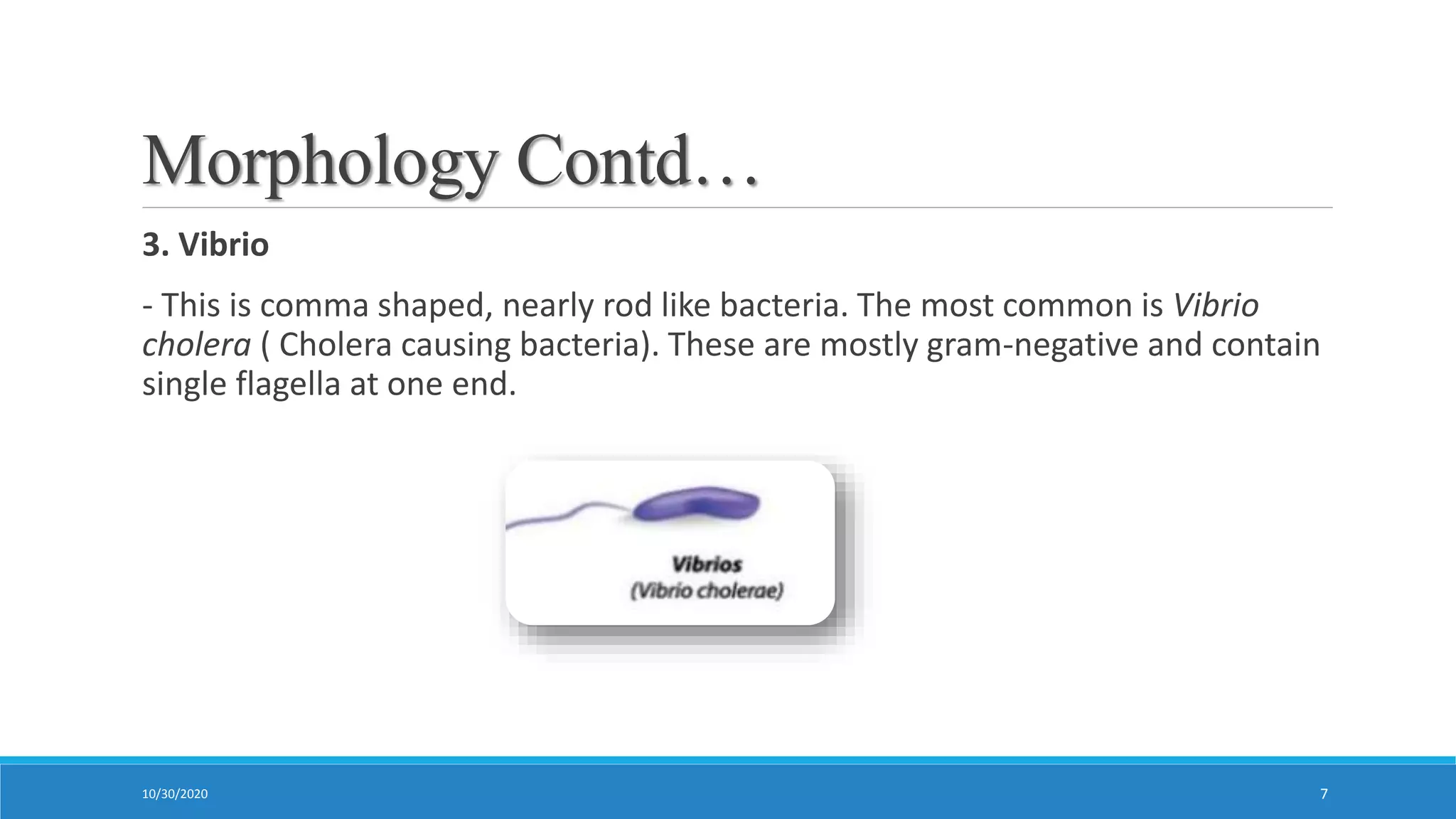Classification of bacteria | PPTX