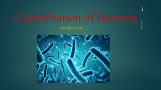 Classification of Bacteria
Ritendra Badu
1
 