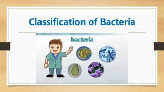Classification of Bacteria
 