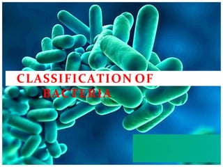 CLASSIFICATION OF
BACTERIA
1
1
 