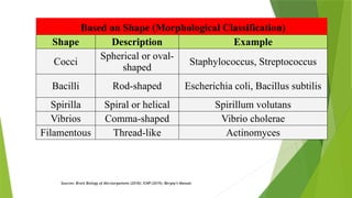 classification_of_bacteria_includes from introduction to recent ...