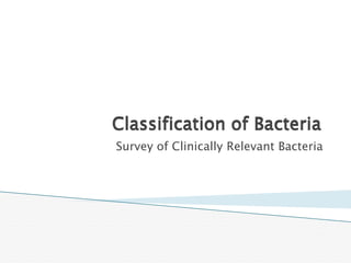 Classification of Bacteria
Survey of Clinically Relevant Bacteria
 