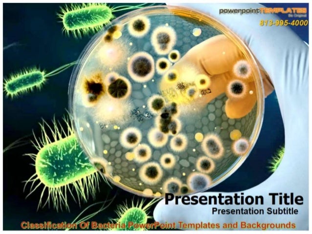 classification-of-bacteria-power-point-templates-and-backgrounds