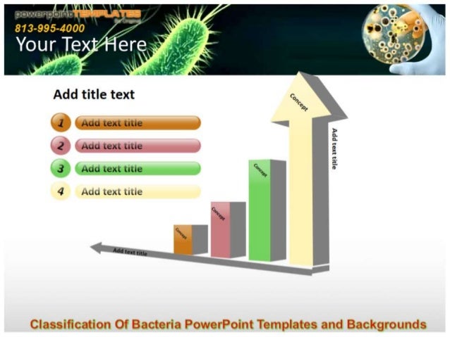 classification-of-bacteria-power-point-templates-and-backgrounds