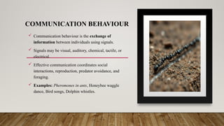 COMMUNICATION BEHAVIOUR
 Communication behaviour is the exchange of
information between individuals using signals.
 Signals may be visual, auditory, chemical, tactile, or
electrical.
 Effective communication coordinates social
interactions, reproduction, predator avoidance, and
foraging.
 Examples: Pheromones in ants, Honeybee waggle
dance, Bird songs, Dolphin whistles.
 