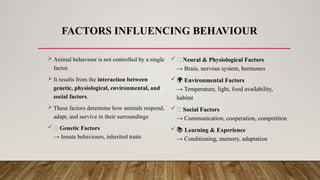 FACTORS INFLUENCING BEHAVIOUR
 Animal behaviour is not controlled by a single
factor.
 It results from the interaction between
genetic, physiological, environmental, and
social factors.
 These factors determine how animals respond,
adapt, and survive in their surroundings
🧬 Genetic Factors
→ Innate behaviours, inherited traits
🧠 Neural & Physiological Factors
→ Brain, nervous system, hormones
🌍 Environmental Factors
→ Temperature, light, food availability,
habitat
👥 Social Factors
→ Communication, cooperation, competition
📚 Learning & Experience
→ Conditioning, memory, adaptation
 