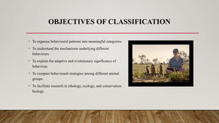 OBJECTIVES OF CLASSIFICATION
• To organise behavioural patterns into meaningful categories.
• To understand the mechanisms underlying different
behaviours.
• To explain the adaptive and evolutionary significance of
behaviour.
• To compare behavioural strategies among different animal
groups.
• To facilitate research in ethology, ecology, and conservation
biology.
 