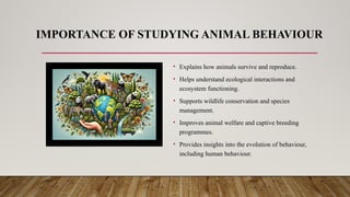 IMPORTANCE OF STUDYING ANIMAL BEHAVIOUR
• Explains how animals survive and reproduce.
• Helps understand ecological interactions and
ecosystem functioning.
• Supports wildlife conservation and species
management.
• Improves animal welfare and captive breeding
programmes.
• Provides insights into the evolution of behaviour,
including human behaviour.
 