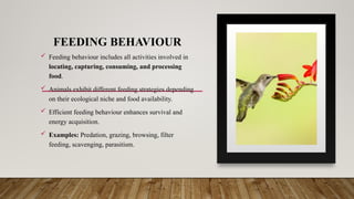 FEEDING BEHAVIOUR
 Feeding behaviour includes all activities involved in
locating, capturing, consuming, and processing
food.
 Animals exhibit different feeding strategies depending
on their ecological niche and food availability.
 Efficient feeding behaviour enhances survival and
energy acquisition.
 Examples: Predation, grazing, browsing, filter
feeding, scavenging, parasitism.
 