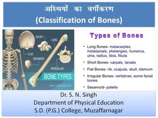 vfLFk;ksa dk oxhZdj.k
(Classification of Bones)
Dr. S. N. Singh
Department of Physical Education
S.D. (P.G.) College, Muzaffarnagar
Dr. S. N. Singh
Department of Physical Education
S.D. (P.G.) College, Muzaffarnagar
 