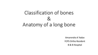 Classification of bones
&
Anatomy of a long bone
Amarendra K Yadav
FCPS Ortho Resident
B & B Hospital
 