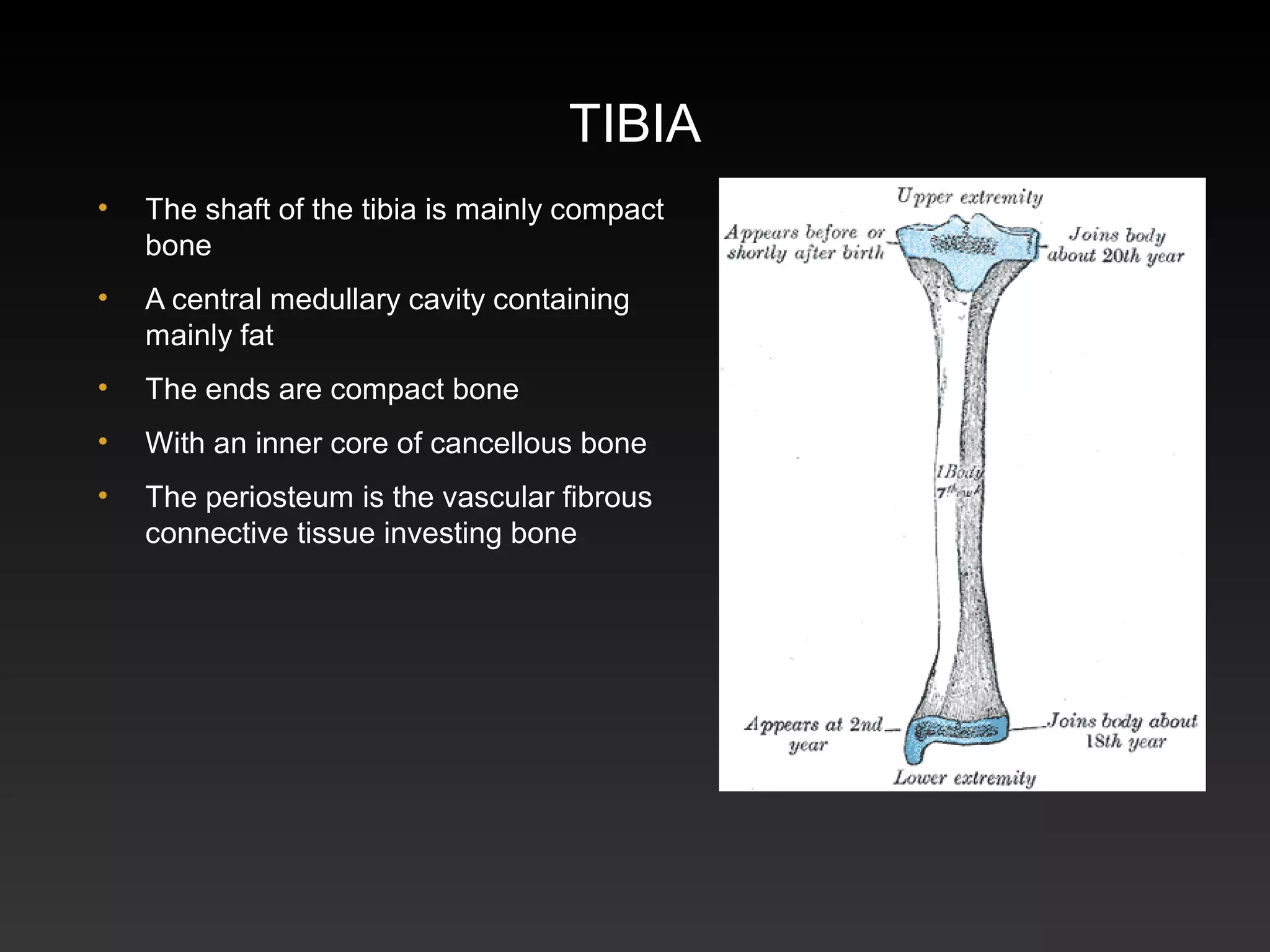 Classification of bones_and_joint_ | PPT