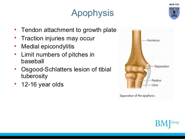 Classification of bones_and_joint_bmj