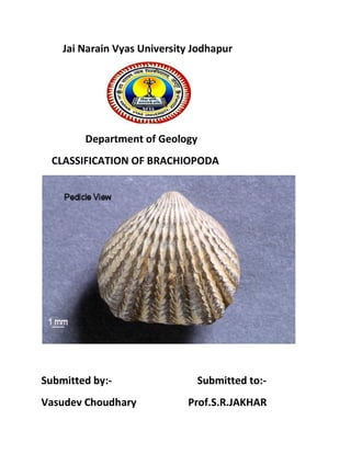 Jai Narain Vyas University Jodhapur
Department of Geology
CLASSIFICATION OF BRACHIOPODA
Submitted by:- Submitted to:-
Vasudev Choudhary Prof.S.R.JAKHAR
 