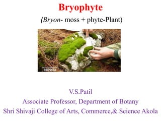 Bryophyte
(Bryon- moss + phyte-Plant)
V.S.Patil
Associate Professor, Department of Botany
Shri Shivaji College of Arts, Commerce,& Science Akola
 