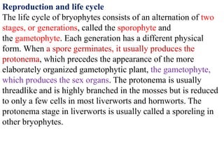Reproduction and life cycle
The life cycle of bryophytes consists of an alternation of two
stages, or generations, called the sporophyte and
the gametophyte. Each generation has a different physical
form. When a spore germinates, it usually produces the
protonema, which precedes the appearance of the more
elaborately organized gametophytic plant, the gametophyte,
which produces the sex organs. The protonema is usually
threadlike and is highly branched in the mosses but is reduced
to only a few cells in most liverworts and hornworts. The
protonema stage in liverworts is usually called a sporeling in
other bryophytes.
 